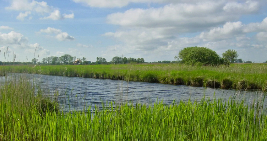 Foto van de Bancopolder, een onderdeel van de Brekkenpolder